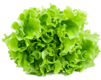 Ингредиент фото9